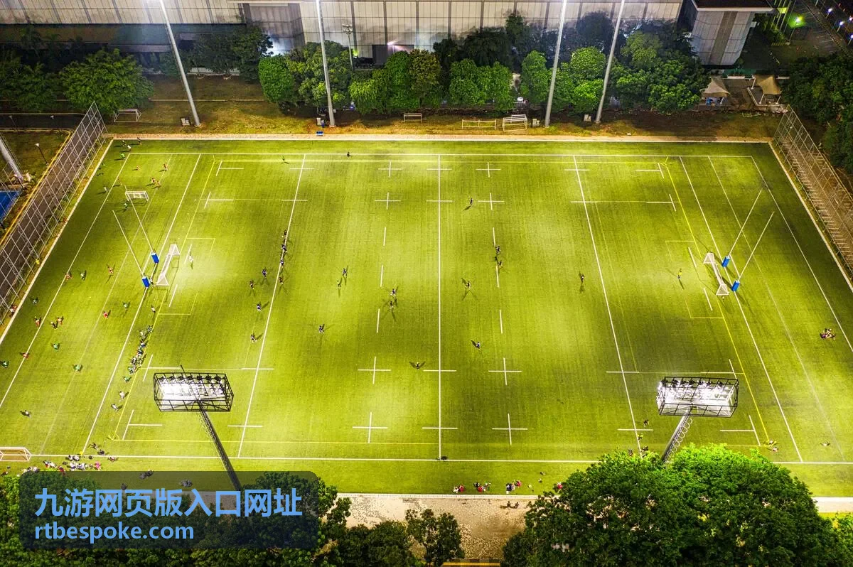 九游网页版入口网址安全登录提示自检示意